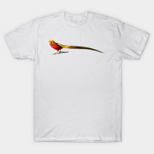 Vintage male golden pheasant bird T-Shirt